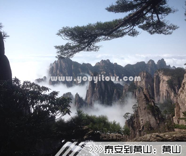 ［泰安到黄山旅游团］高铁往返黄山三日游线路及价格