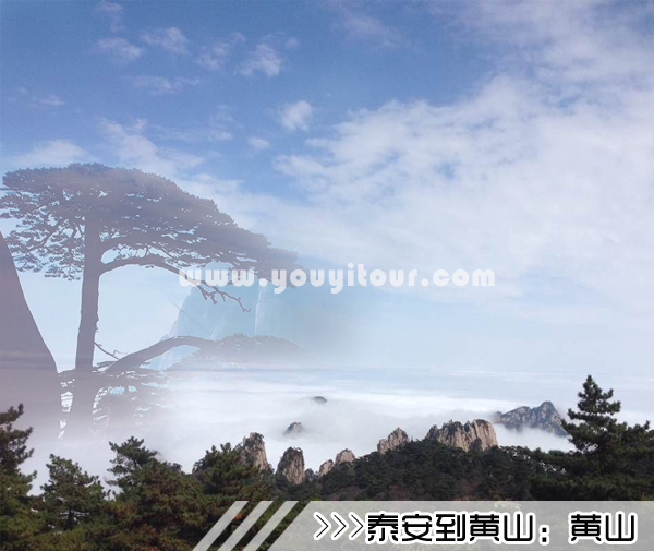 ［泰安到黄山旅游团］高铁往返黄山三日游线路及价格