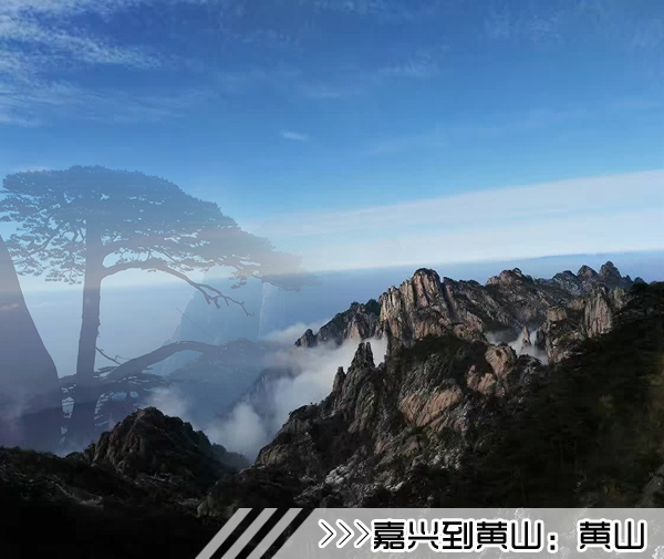 ［嘉兴到黄山旅游团］高铁往返黄山三日游线路及价格