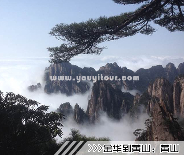 ［金华到黄山旅游团］高铁往返黄山三日游线路及价格