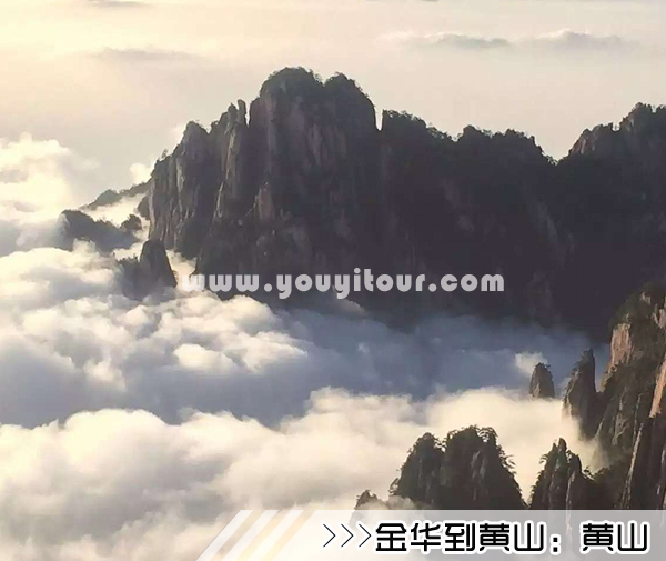 ［金华到黄山旅游团］高铁往返黄山三日游线路及价格