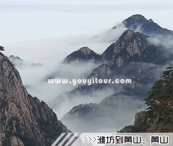 ［潍坊到黄山旅游团］高铁往返黄山三日游线路及价格