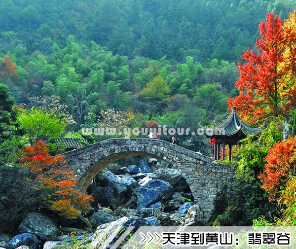［天津到黄山旅游团］高铁往返黄山三日游线路及价格