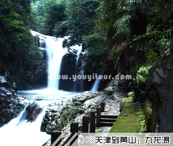 ［天津到黄山旅游团］高铁往返黄山三日游线路及价格