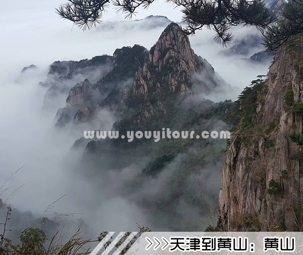 ［天津到黄山旅游团］高铁往返黄山三日游线路及价格