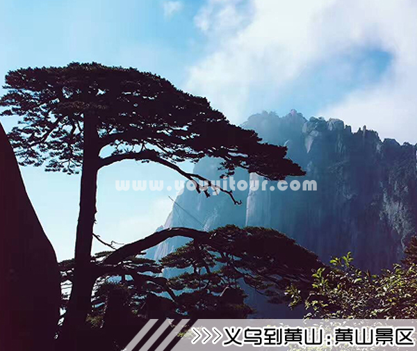 ［义乌到黄山旅游团］高铁往返黄山三日游线路及价格
