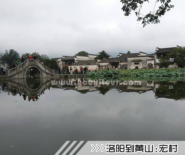 ［洛阳到黄山旅游团］高铁往返黄山四日游线路及价格