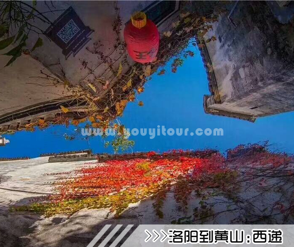 ［洛阳到黄山旅游团］高铁往返黄山四日游线路及价格