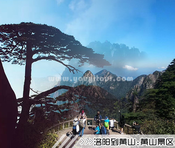 ［洛阳到黄山旅游团］高铁往返黄山四日游线路及价格