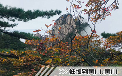 ［蚌埠到黄山旅游团］高铁往返黄山三日游线路及价格