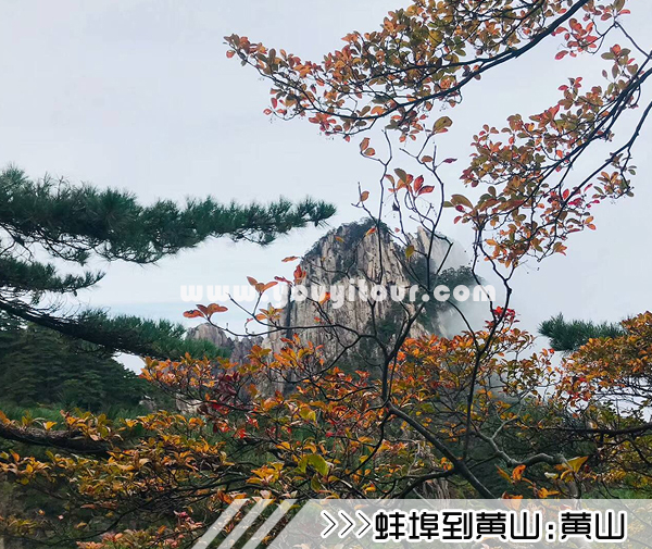 ［蚌埠到黄山旅游团］高铁往返黄山三日游线路及价格