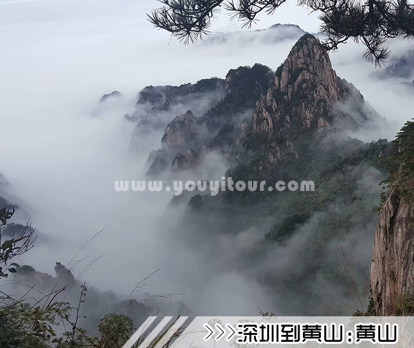 ［深圳到黄山旅游团］高铁往返黄山三日游线路及价格
