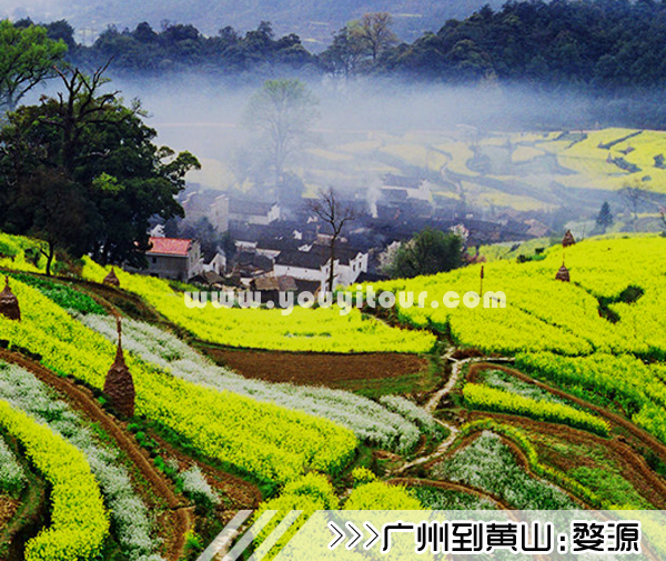［广州到黄山旅游团］高铁往返黄山三日游线路及价格