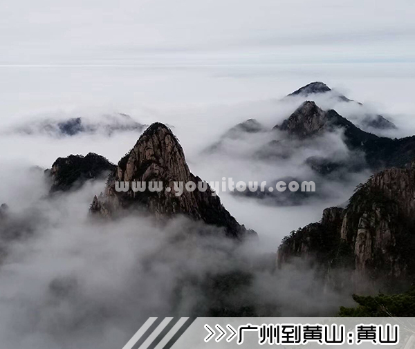 ［广州到黄山旅游团］高铁往返黄山三日游线路及价格