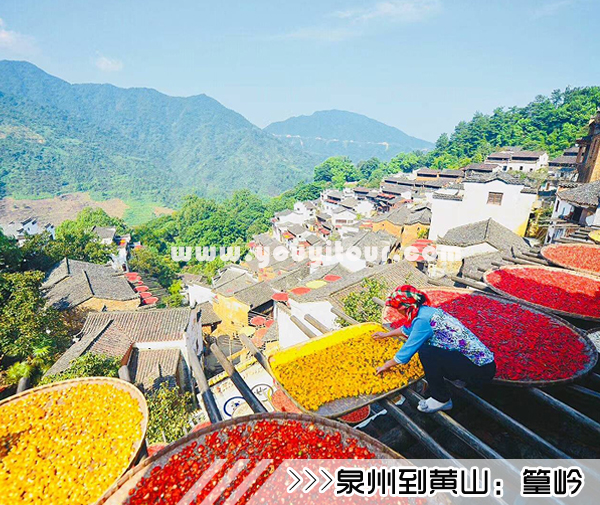［泉州到黄山旅游团］高铁往返黄山三日游线路及价格