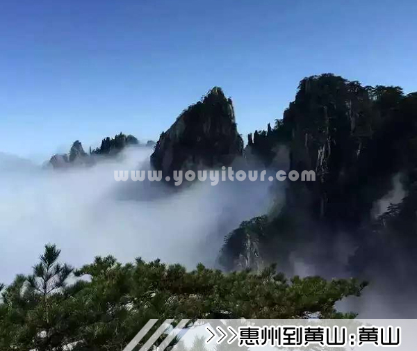 ［惠州到黄山旅游团］高铁往返黄山四日游路线及价格