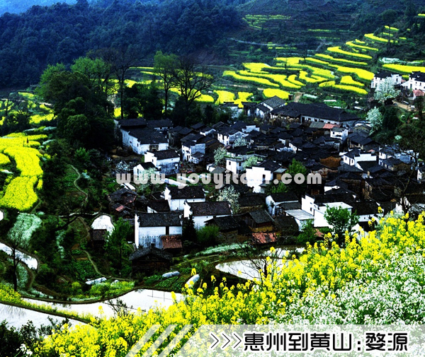 ［惠州到黄山旅游团］高铁往返黄山四日游路线及价格