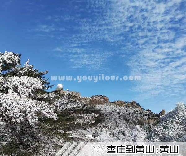 ［枣庄到黄山旅游团］高铁往返黄山三日游路线及价格