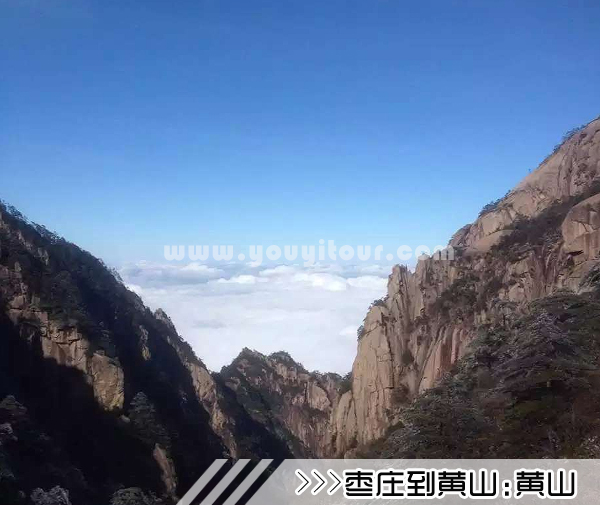 ［枣庄到黄山旅游团］高铁往返黄山三日游路线及价格