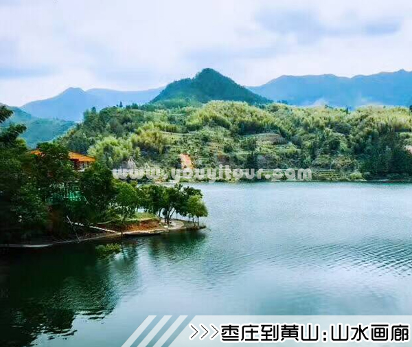 ［枣庄到黄山旅游团］高铁往返黄山三日游路线及价格
