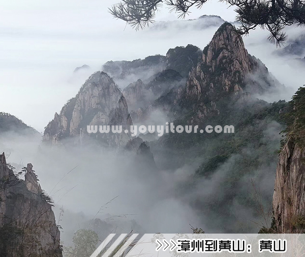 ［漳州到黄山旅游团］高铁往返黄山四日游线路及价格