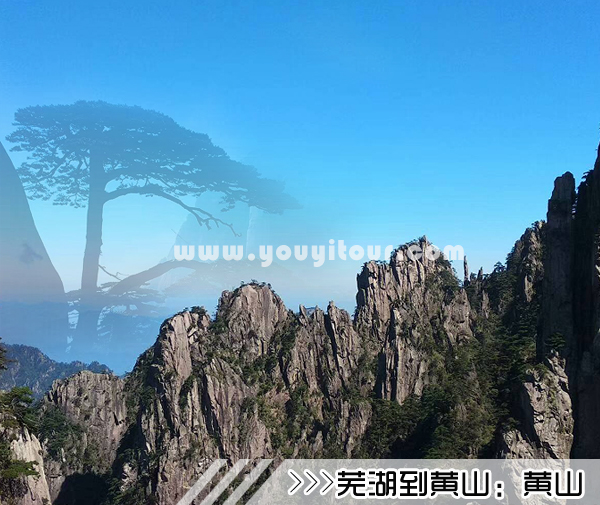［芜湖到黄山旅游团］高铁往返黄山三日游线路及价格