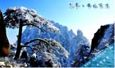 冬季来黄山旅游的几点理由