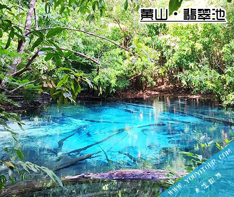 翡翠池