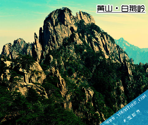 白鹅岭