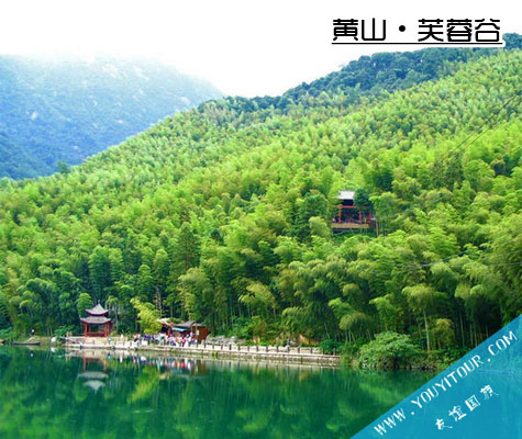 芙蓉谷景区