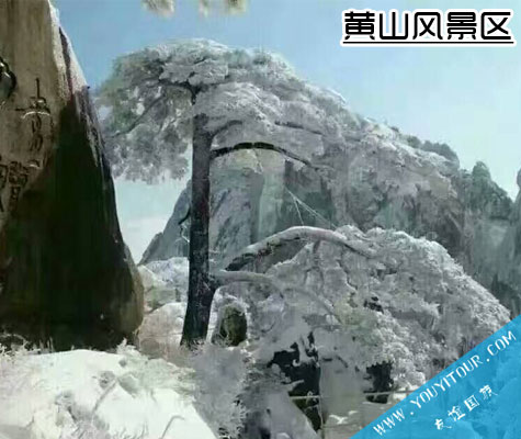 黄山风景区-黄山友谊国际旅行社推荐必玩景点