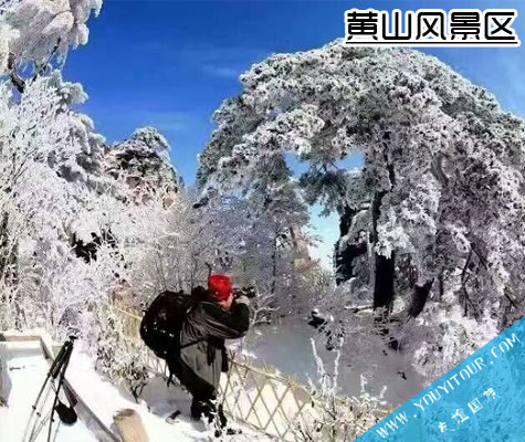 黄山风景区-黄山友谊国际旅行社推荐必玩景点