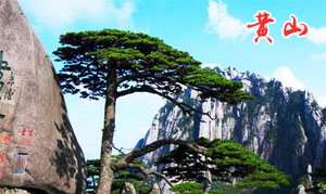 黄山旅游小经验