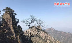 清明黄山旅游小常识