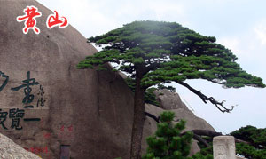 黄山旅行社推荐四季旅游注意事项