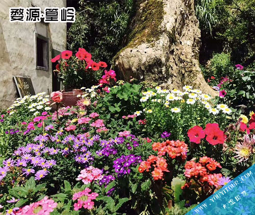 婺源篁岭景区