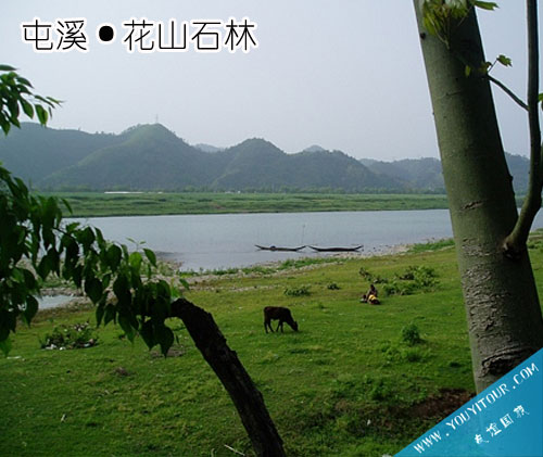 花山石林景区
