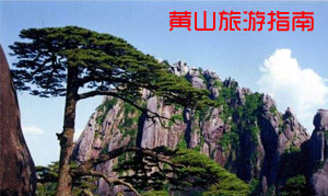 黄山四月旅游跟团-揽美丽春色