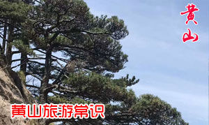 黄山是一座山吗？