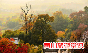秋天去黄山旅游哪个景点好？