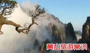 游黄山好的方式是什么？