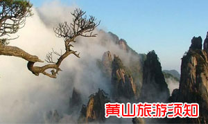 去黄山旅游跟团需要做准备哪些？