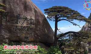 黄山研学旅游攻略