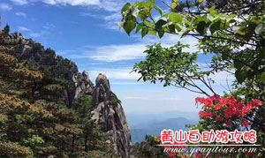黄山自助游二日游攻略