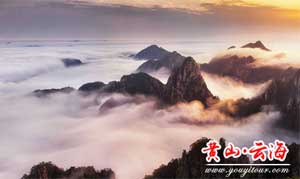 五一去哪玩，黄山旅游跟团玩黄山