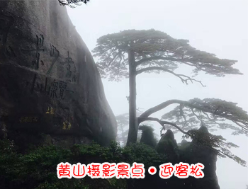 黄山旅游团摄影景点-迎客松图片