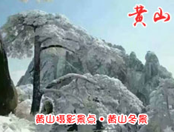 黄山旅游团-冬季黄山十大摄影景点