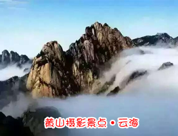 黄山旅游团摄影景点-黄山云海图片