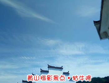 黄山旅游团摄影景点-牯牛降图片