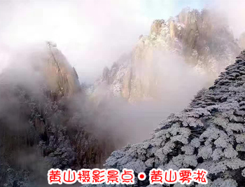 黄山旅游团摄影-黄山雾凇图片